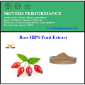 GMP Manufacture Supply Rose HIPS Fruit Extract